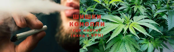 стаф Осташков