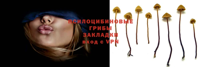 Альфа ПВП Арсеньев