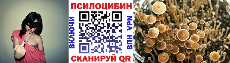 Псилоцибиновые грибы ЛСД наркотики Малоархангельск